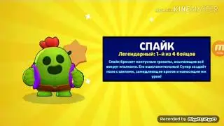 Не придовай тимэйта