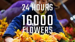 The Rush to Finish Cal Poly's 75th Rose Float