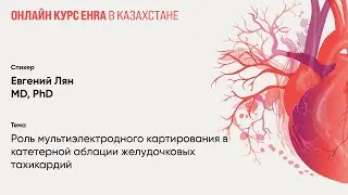 Роль мультиэлектродного картирования в катетерной аблации желудочковых тахикардий. Евгений Лян