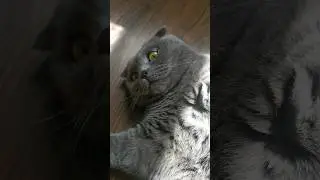 маменькин сынок😊 