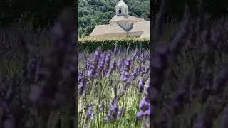 Abbaye Notre-Dame De Sénanque Provence France. Абатство Нотр Дам Де Сенанк, Прованс Франция #прованс