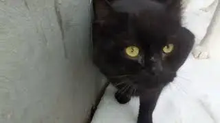 Лучшие друзья с детства!