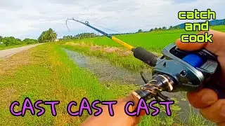 #EP1138