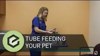 Tube Feeding Your Pet