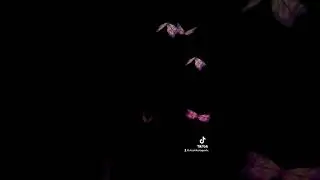 Video Overlays (Free)