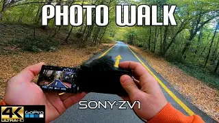 PHOTO WALK IN THE FOREST