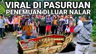 VIRAL..! PENEMUAN DI PASURUAN YANG LAGI VIRAL