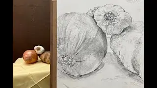 Art Lessons With Rossi: Value: Hatching, Cross-Hatching, Cross-Contour, and Stippling