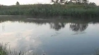 Ловля щуки на 3Д поппер от Юзурика.wmv