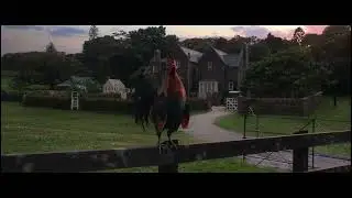 güneş yine mi doğdu 🐓 vay be