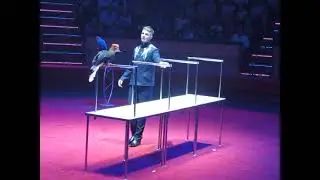 Фрагмент циркового номера с туканом и попугаями ара