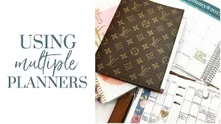 Using Multiple Planners