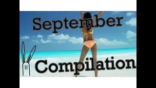 Konijnendansjes/ Cutting Shapes/ Shuffle Compilation September