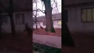Газовая Россия