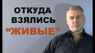 Откуда взялись 