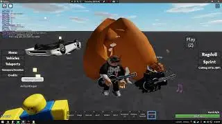 Our Band Playing Guitar on PS's Accurate Euphoria Ragdoll