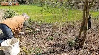 Strooisellaag maken