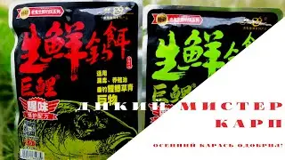 ДИКИЙ МИСТЕР КАРП. Новая серия. Новые тесты. Осень и карась!