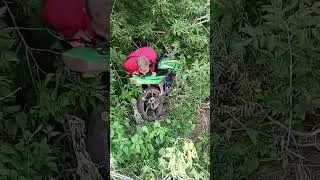 Мотоцикл стелс 200 куб и Вальдемар жгучий перчик 🌶️ #smartphone #ямз #cb #топ #bikelife