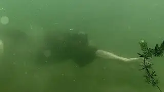 Czy możliwe jest pływanie w kolczudze?