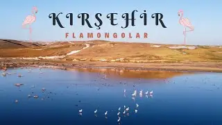 Kırşehir'de Flamingolar 2 - Belgesel Tadında Bir Klip Sizlerle