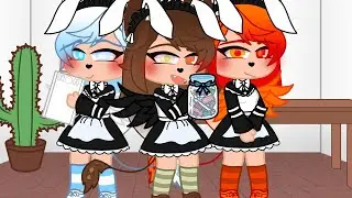 Ya desearon que ordenar🍬🍬 (Parte 1)