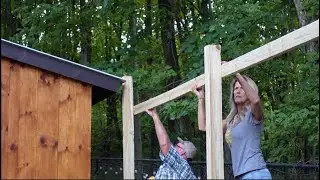Bright Light and Making Chickens Safe Again