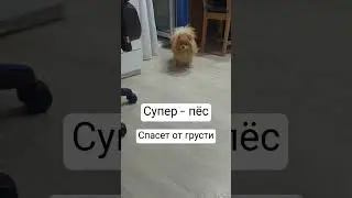 Лили всегда спасёт от грусти ❤🔥
