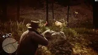RDR2 PS4