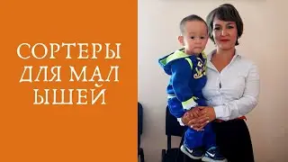 Сортеры для малышей
