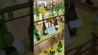 Daffodils