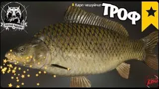 КАРП ЧЕШУЙЧАТЫЙ ТРОФ - СТ. ОСТРОГ ⭐ РУССКАЯ РЫБАЛКА 4 |  RUSSIAN FISHING 4🐟