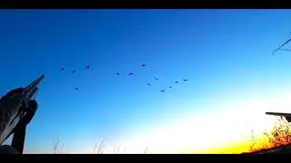 БЫЛО ЖАРКО! Открыли сезон по утке!!!