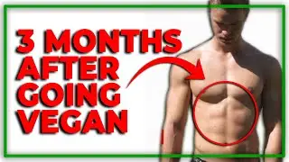How To Transition To A Vegan Diet [Beginners Guide]
