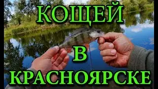 Спиннинг Кощей в Красноярске