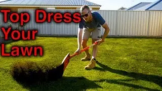 How To Top Dress Your Lawn