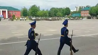 день ВДВ в Витебске 2023 показательные выступления 103 бригады ВДВ.