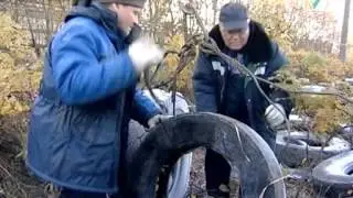 01122015   Из Колпино за осень вывезли 1000 автопокрышек