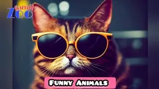 Funny Animal | Funny Animals | Funny Animal Videos | Cats | Funny Cats | Dogs | Zoofamily
