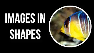 GIMP: Images Outlined in Shapes