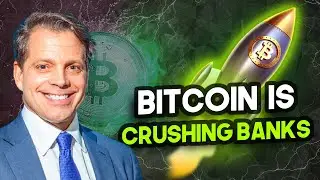Anthony Scaramucci - The Bitcoin Prophesy Is Coming To Pass