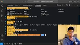 Essential Terminal Commands Tutorial