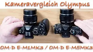 Olympus OM-D E-M1MK3 und Olympus OM-D E-M5MK3 im Vergleich