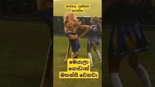 LPL ලස්සන කරන්න මේක ඇතුලේ ඉන්න කෙනා මාර ගේමක් දෙනවා