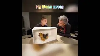 Влад А4 разводит Глента