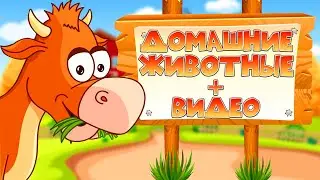 ДОМАШНИЕ ЖИВОТНЫЕ для ДЕТЕЙ! Развивающее видео.