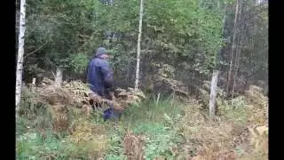Мотоблок и циркулярка