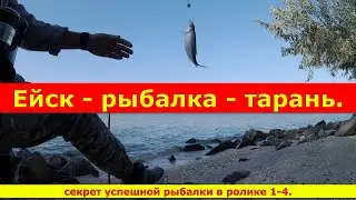 Ейск - рыбалка - тарань. Секрет успешной рыбалки в ролике 1-4. Как ловится тарань в Ейске.