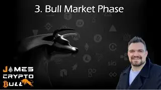 Bull Market Phase of Crypto Markets Explained