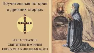 Паломник не ожидал этого от старца!